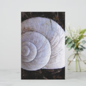 Papeterie Coquille d'escargot cool (Debout devant)