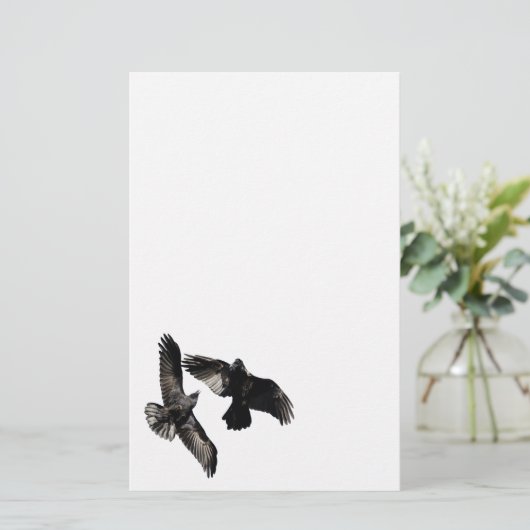 Papeterie corbeaux (Debout devant)