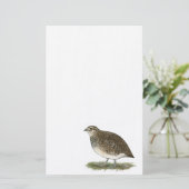 Papeterie Coturnix Quail (Debout devant)