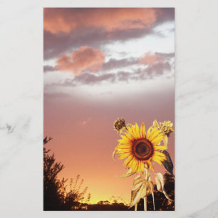 PAPETERIE COUCHER DE SOLEIL ET ROSE EN ÉTÉ