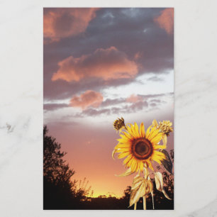 PAPETERIE COUCHER DE SOLEIL ET ROSE EN ÉTÉ
