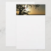 Papeterie Coucher du soleil à travers les arbres II Photogra (Devant / Derrière)