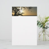 Papeterie Coucher du soleil à travers les arbres II Photogra (Debout devant)
