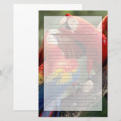 Papeterie Couple d'Ara rouge (Devant / Derrière)