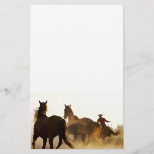 Papeterie cowboy roping stationnaire