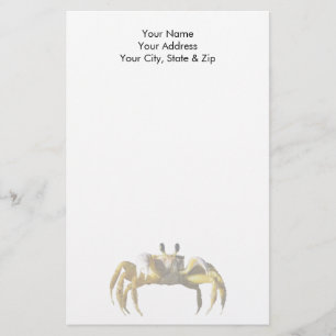 Papeterie Crabe