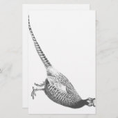 Papeterie Croquis de faisan (Devant / Derrière)