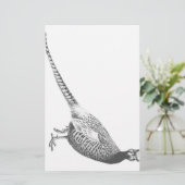 Papeterie Croquis de faisan (Debout devant)