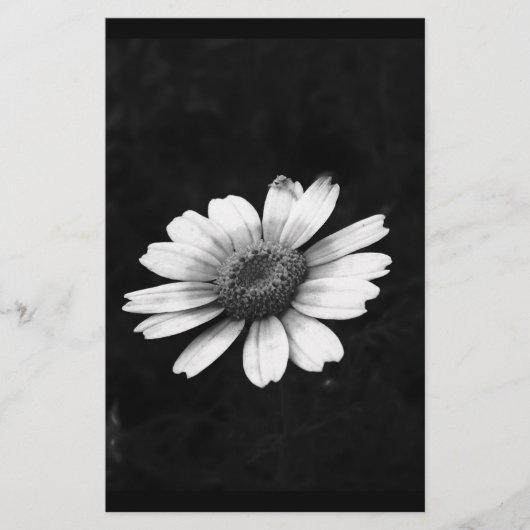 Papeterie Crown Daisy (Devant)