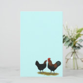 Papeterie Cuivre noir des Marans (Debout devant)