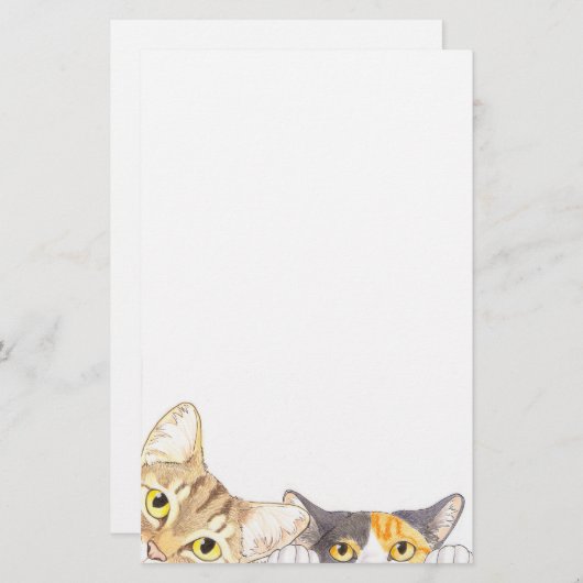 Papeterie curieuse de chats (Devant / Derrière)