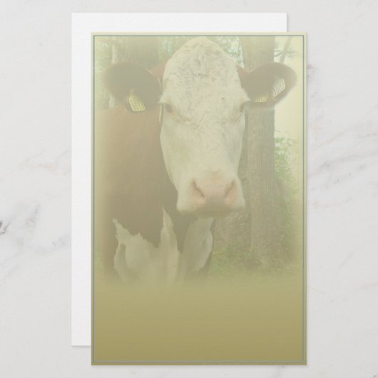 Papeterie curieuse de vache (Devant / Derrière)