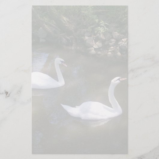 Papeterie Curieux Swans (Devant)