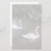 Papeterie Curieux Swans (Devant / Derrière)