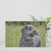Papeterie Cute Terrier Chien (Debout devant)
