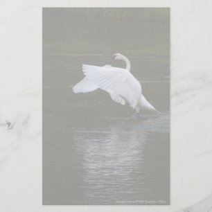 Papeterie Cygne trompette
