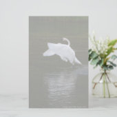 Papeterie Cygne trompette (Debout devant)