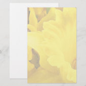 Papeterie Daffodique Petals (Devant / Derrière)