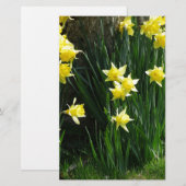 Papeterie Daffodiques de printemps (Devant / Derrière)