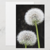 Papeterie - Dandelions (Devant / Derrière)