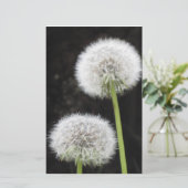 Papeterie - Dandelions (Debout devant)