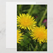 Papeterie Dandelions (Devant / Derrière)