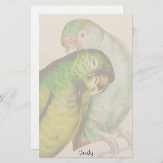 Papeterie d'animal de faune de deux oiseaux de (Devant / Derrière)