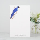 Papeterie d'ara de jacinthe (Debout devant)