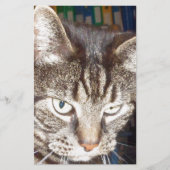 Papeterie Dave vous regarde (Devant)