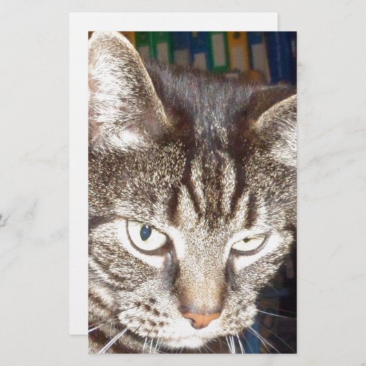 Papeterie Dave vous regarde (Devant / Derrière)