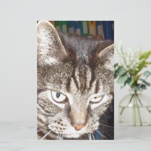 Papeterie Dave vous regarde (Debout devant)