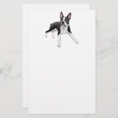 Papeterie de Boston Terrier (Devant / Derrière)
