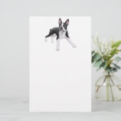 Papeterie de Boston Terrier (Debout devant)