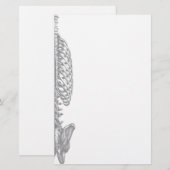 Papeterie de cage thoracique (Devant / Derrière)