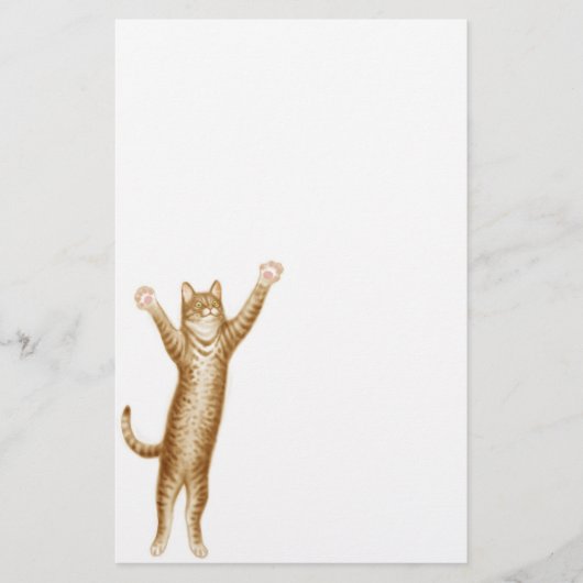 Papeterie de chat de fêtard (Devant)