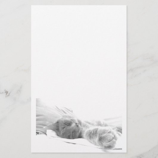 Papeterie de chat de sommeil (Devant)