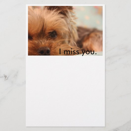 Papeterie de chiot de Yorkshire de tasse de thé (Devant)