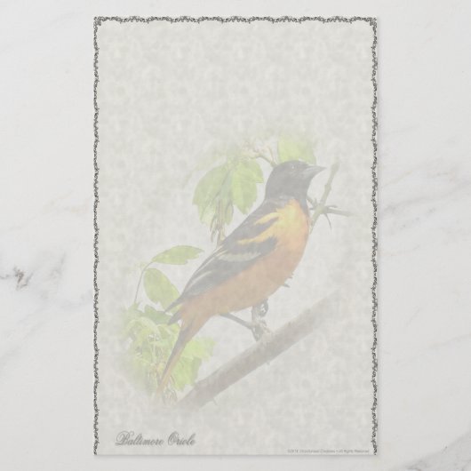 Papeterie de coutume de Baltimore Oriole (Devant)