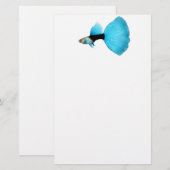 Papeterie de fantaisie bleue à moitié noire de (Devant / Derrière)