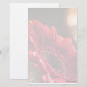 Papeterie de la fleur I (Devant / Derrière)