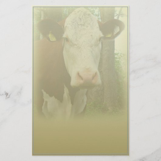 Papeterie de la vache curieuse (Devant)