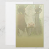 Papeterie de la vache curieuse (Devant / Derrière)