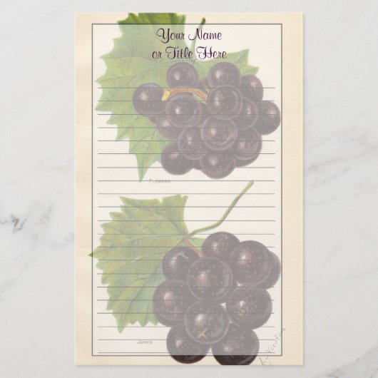 Papeterie de raisins vintages (Devant)