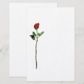 Papeterie de rose rouge (Devant / Derrière)