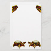 Papeterie de tortues de boîte (Devant / Derrière)