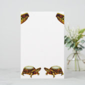 Papeterie de tortues de boîte (Debout devant)