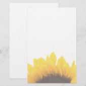 Papeterie de tournesol (Devant / Derrière)