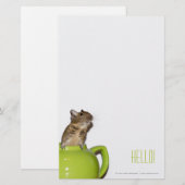 Papeterie Degu dans une théière 'Hello (Devant / Derrière)