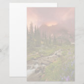 Papeterie Des prés enchantés (Devant / Derrière)