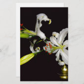 Papeterie Design irlandais - Collection de laiton et de fleu (Devant / Derrière)